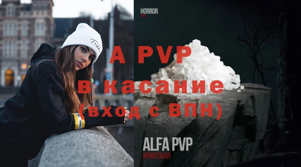 индика Россошь