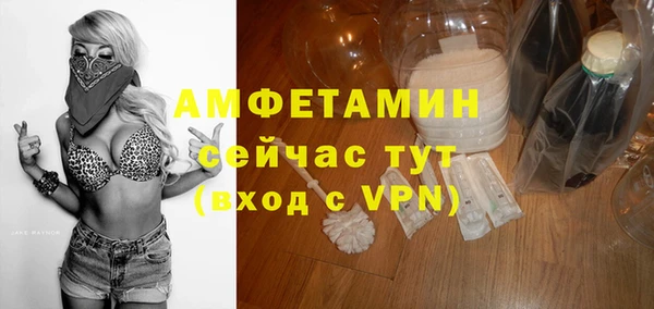индика Россошь